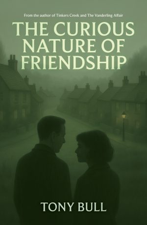 The Curious Nature of Friendship