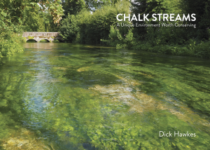 Chalk Streams – A Unique Environment Worth Conserving